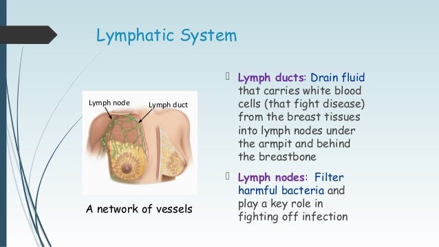 breast cyst middle duct Breast cyst middle duct
